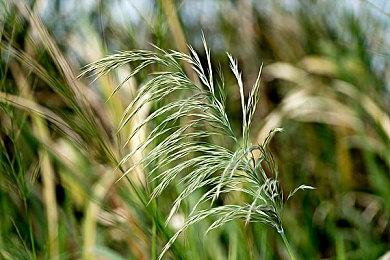 给蝙蝠侠庆生！这款杀死蝙蝠侠的游戏半价促销